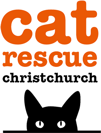 Cat Rescue Christchurch - Love My Daschund Oval Sticker Transparent PNG - 444x444 - Free Download on - Cat Transparent PNG Free Download