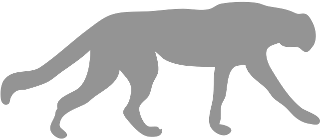 Photo Of A Cougar Cat Outline - Black Outline Of Animals Transparent PNG - 640x320 - Free Download on - Cat Transparent PNG Free Download