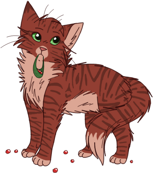 Roseheart Tgf By5 Arualmeow-d8dep20 - Warrior Cat Oc Red Transparent PNG - 648x648 - Free Download on - Cat Transparent PNG Free Download