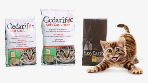 Cedric The Family Cat"s Favorite Cat Litter - Using Cedar Chips As Cat Litter, HD Png Download - Cat Transparent PNG Free Download