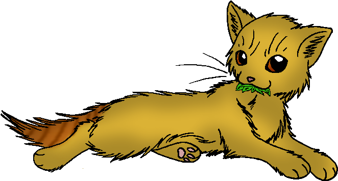 My Goldenheart - Brown Tabby Warrior Cats Png Transparent PNG - 711x401 - Free Download on - Cat Transparent PNG Free Download