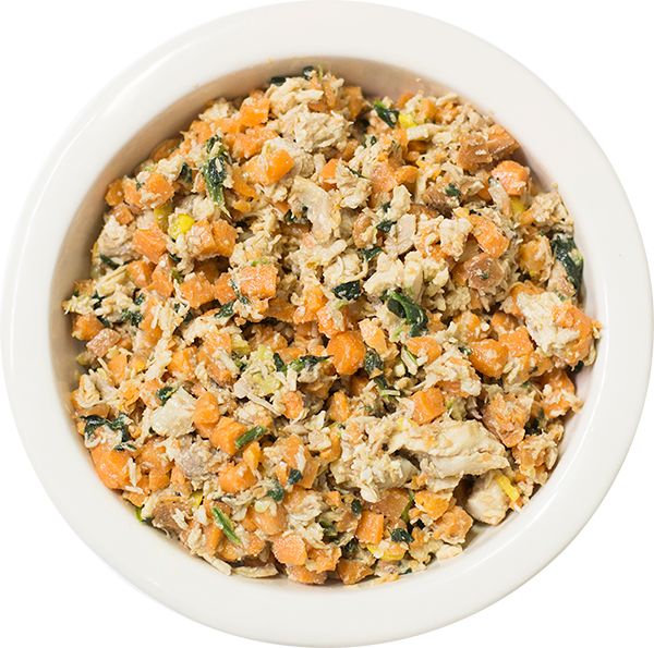 Fresh Food For Dogs And Cats, Delivered - Poriyal Transparent PNG - 600x595 - Free Download on - Cat Transparent PNG Free Download