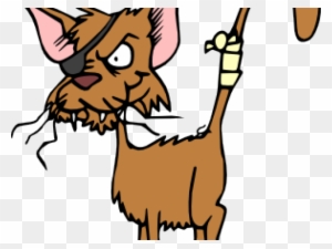 Comical Cats Cliparts - Cafepress Cat: Nobody's Purrfect Full/queen Duvet Cover - Free Transparent PNG Clipart Images Download. - Cat Transparent PNG Free Download