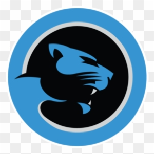 Panthers News Amp Notes - Cat Scratch Reader - Free Transparent PNG Clipart Images Download. - Cat Transparent PNG Free Download