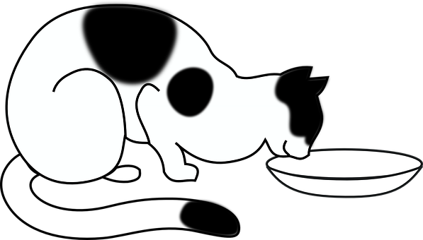 Cat, Bowl, Black, Eating, Pet, Domestic - Cat Eating Coloring Page - Free Transparent PNG Clipart Images Download. - Cat Transparent PNG Free Download