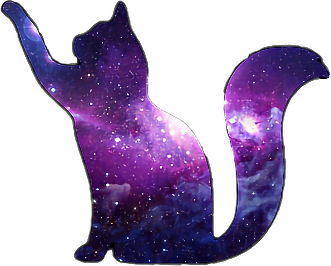 Purple Cat Scpurple Galaxy Cat Galaxycat Blue Freetoedi - Purple Galaxy Cat Transparent PNG - 644x518 - Free Download on - Cat Transparent PNG Free Download