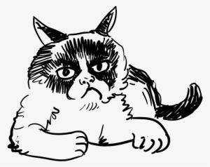 Cat Cat - Domestic Short-haired Cat Transparent PNG - 1136x916 - Free Download on - Cat Transparent PNG Free Download