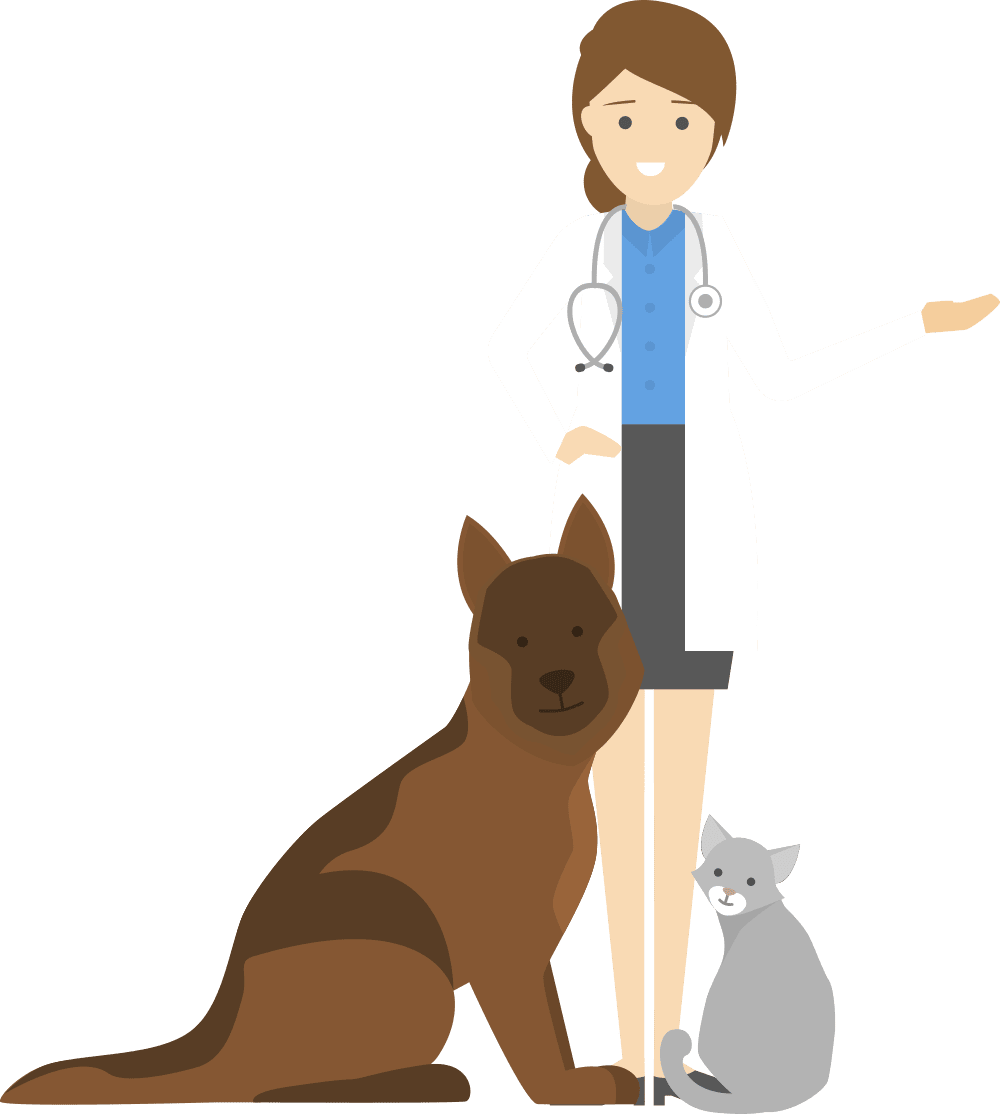 Vet With Cat And Dog - Veterinarian Animation Transparent Transparent PNG - 1000x1114 - Free Download on - Cat Transparent PNG Free Download