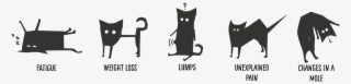 Cats Uk On Twitter - Chair Transparent PNG - 2048x532 - Free Download on - Cat Transparent PNG Free Download