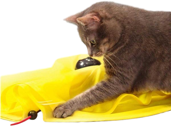 Amazingly Cat - Cat's Meow: Fun, Revolving Cat Toy (motorised) Transparent PNG - 600x600 - Free Download on - Cat Transparent PNG Free Download