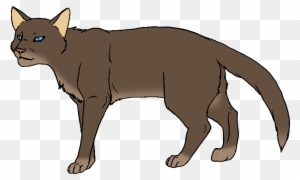 Dull Brown And White Tabby Tom With Blue Eyes And White - Cat - Free Transparent PNG Clipart Images Download. - Cat Transparent PNG Free Download