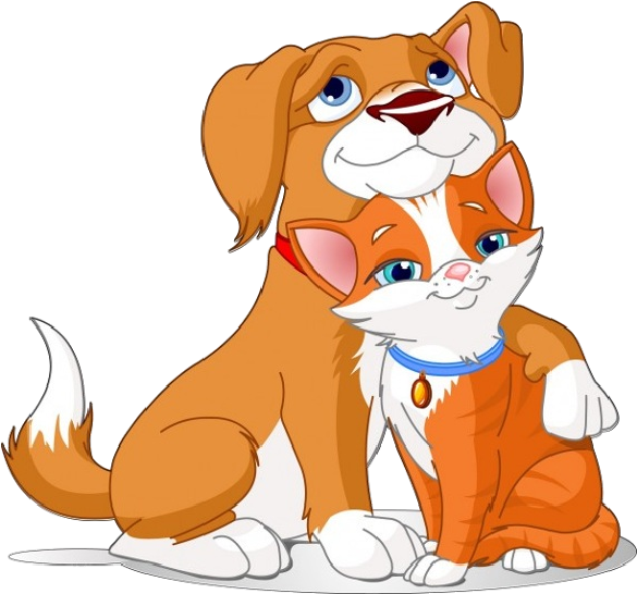 Cartoon Pictures Of Dogs And Cats - Cartoon Dog And Cat Transparent PNG - 600x600 - Free Download on - Cat Transparent PNG Free Download