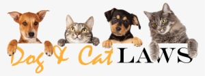 Cats And Dogs In A Row Transparent PNG - 2480x926 - Free Download on - Cat Transparent PNG Free Download