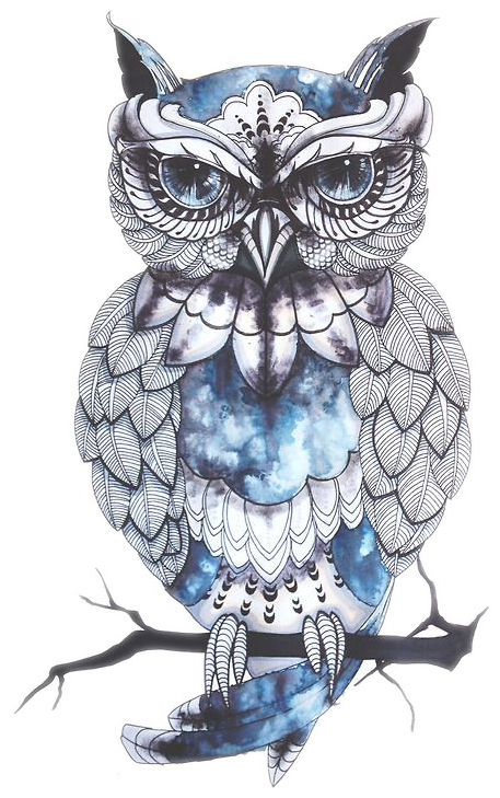 Owl Drawing Artist Bird Tattoo Png Free Photo - Dalin 4 Sheets Temporary Tattoos, Blue Owl, Cat, Fox Transparent PNG - 728x728 - Free Download on - Cat Transparent PNG Free Download