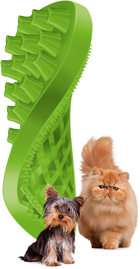Green Brush With Animals - Petlife Pet+me Grooming Brush For Cats - Ideas 4 Pets Transparent PNG - 624x951 - Free Download on - Cat Transparent PNG Free Download