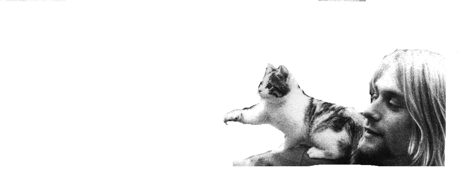 I'm Putting The Picture Png Of Kurt Cobain, Enjoy It - Cat Yawns Transparent PNG - 1600x601 - Free Download on - Cat Transparent PNG Free Download