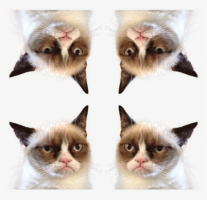 Grumpy Cat Postage Stamp Transparent PNG - 800x772 - Free Download on - Cat Transparent PNG Free Download