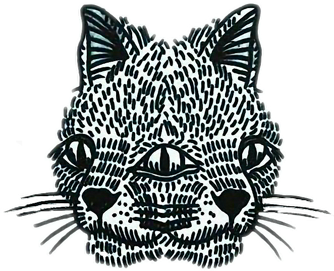 Cats Cat Twin Twins Surreal Sticker Tumblr Grunge - Cat Transparent PNG - 662x536 - Free Download on - Cat Transparent PNG Free Download