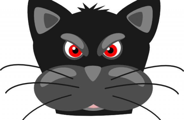 Mad Animals Cartoon Face Sketches - Custom Angry Cat Shower Curtain - Free Transparent PNG Clipart Images Download. - Cat Transparent PNG Free Download