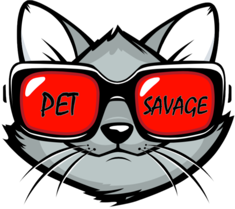 We Are A Company Dedicated To Bringing You The Best - Cat With Sunglasses Cartoon - Free Transparent PNG Clipart Images Download. - Cat Transparent PNG Free Download