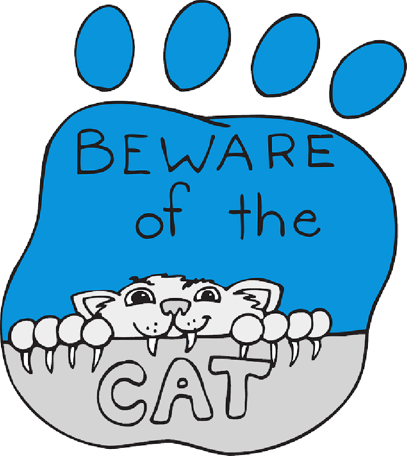 Print, Cartoon, Paw, Pet, Animal, Claws, - Cartoon Cat Clawing Transparent PNG - 800x895 - Free Download on - Cat Transparent PNG Free Download