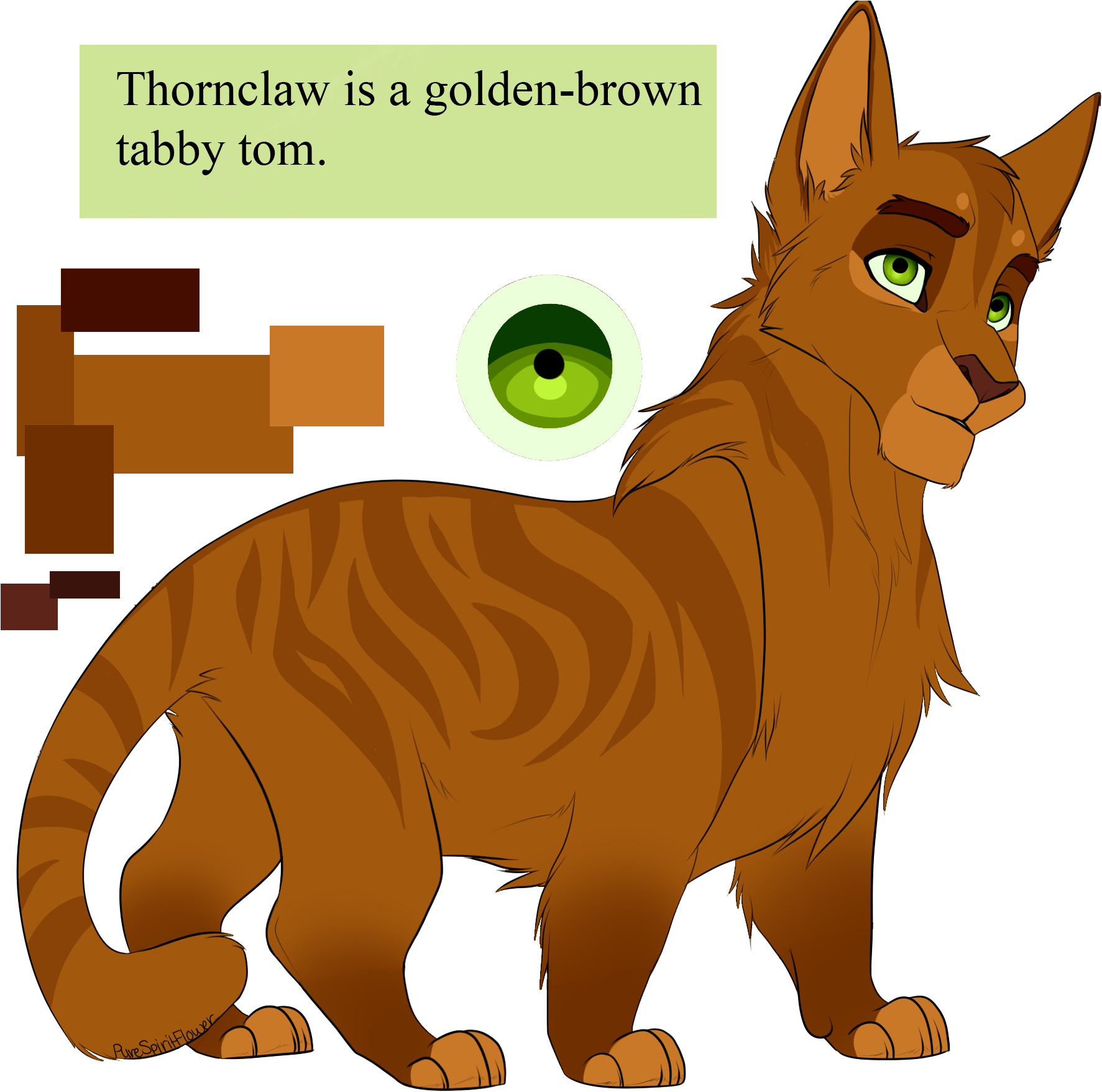 Thornclaw By Purespiritflower Thornclaw By Purespiritflower - Warrior Cat Drawings Purespiritflower - Free Transparent PNG Clipart Images Download. - Cat Transparent PNG Free Download