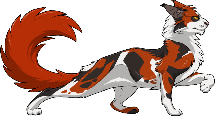 Redtail By Spirit Of Alaska - Draw Warrior Cats Redtail - Free Transparent PNG Clipart Images Download. - Cat Transparent PNG Free Download