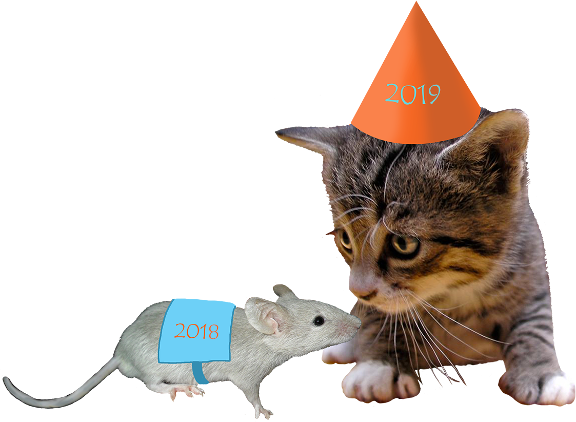 New Years Clipart Png Happy New Year Funny Cats Gif - Frases De Bom Dia Amor Perfeito Transparent PNG - 1122x1113 - Free Download on - Cat Transparent PNG Free Download