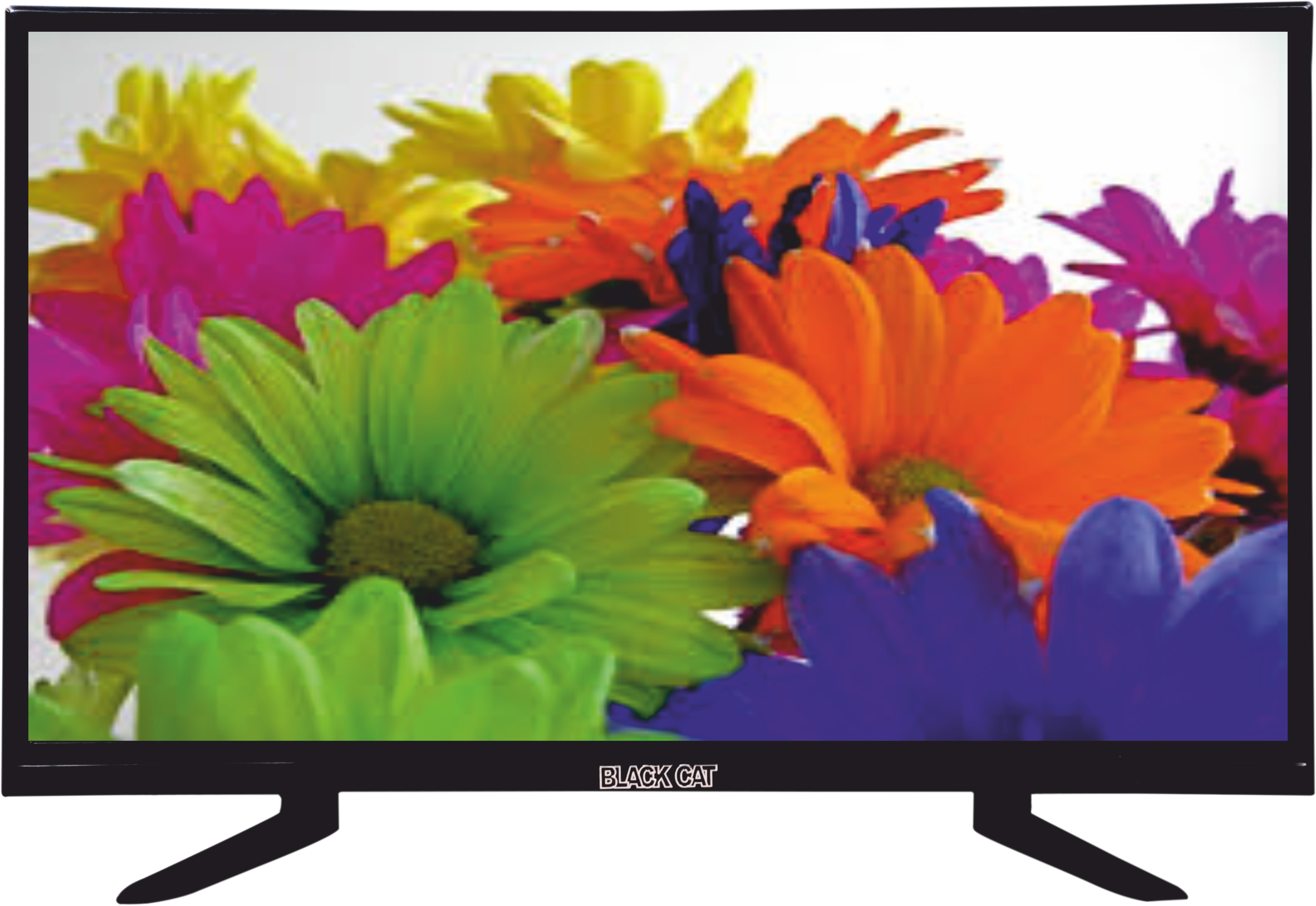 Buy Black Cat Bc Fhd Led Tv 24inch 60 Cm Full Hd (fhd) Transparent PNG - 4759x3276 - Free Download on - Cat Transparent PNG Free Download