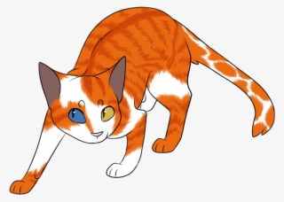 Brightstar - Domestic Short-haired Cat Transparent PNG - 828x600 - Free Download on - Cat Transparent PNG Free Download
