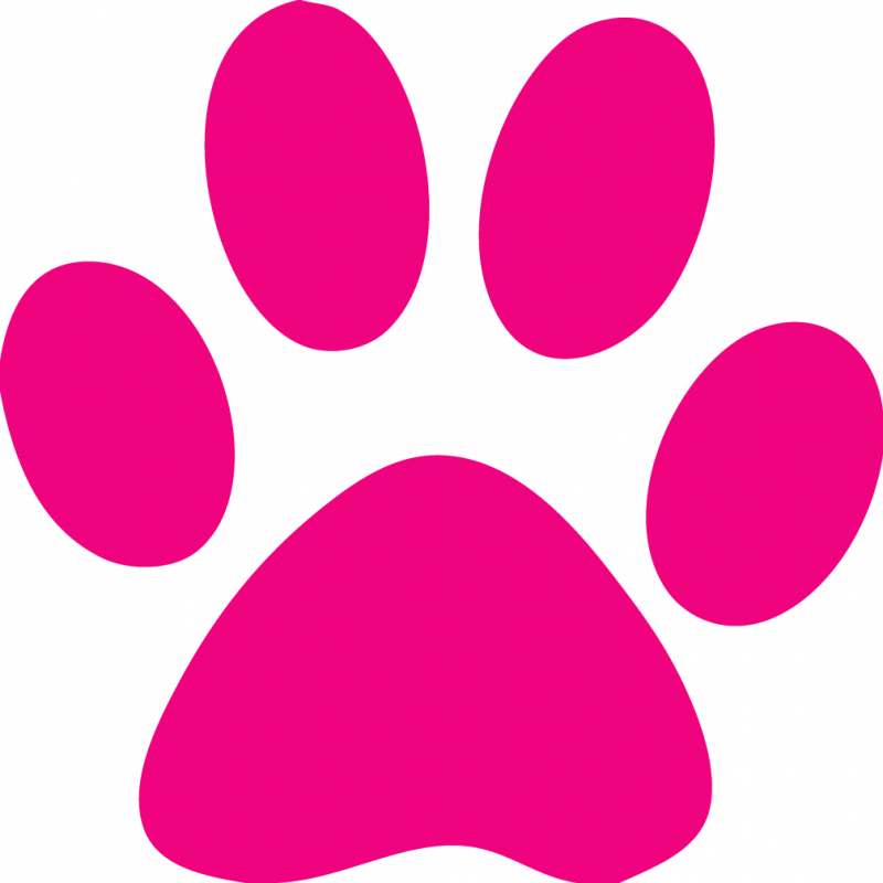 Free Pink Cat Cliparts, Download Free Clip Art, Free - Pink Paw Print Clip Art Transparent PNG - 800x800 - Free Download on - Cat Transparent PNG Free Download