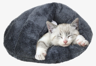 Deluxe Sleeping Toy Cave Bed For Cats Or Puppy - Cat Grabs Treat Transparent PNG - 750x750 - Free Download on - Cat Transparent PNG Free Download