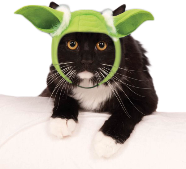 Star Wars Yoda Hood Cat Costume - Cats Yoda Star Wars Ears Transparent PNG - 600x600 - Free Download on - Cat Transparent PNG Free Download