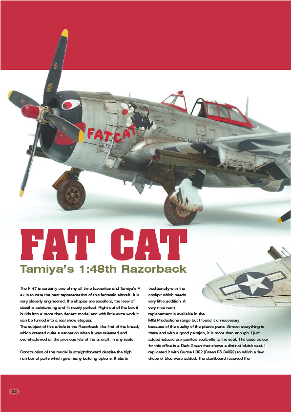 Air9 Fat Cat - Secret Story - Season 4 Transparent PNG - 960x1209 - Free Download on - Cat Transparent PNG Free Download