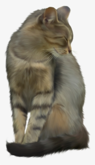 Cat Transparent PNG - 489x800 - Free Download on - Cat Transparent PNG Free Download