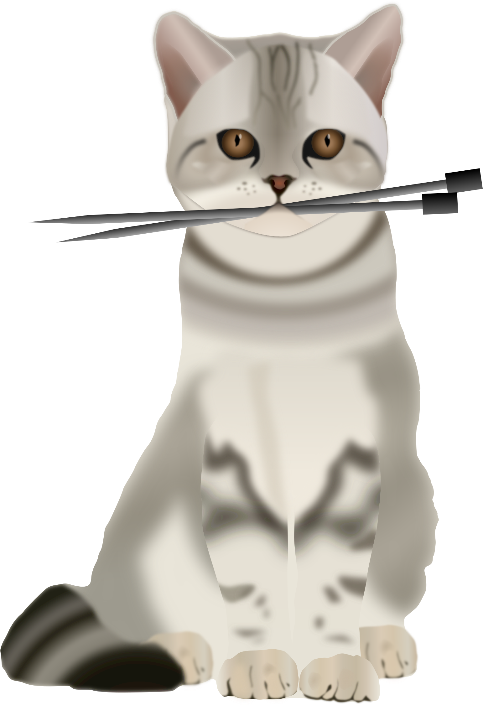 This Free Icons Png Design Of Cat With Knitting Needles Transparent PNG - 1697x2400 - Free Download on - Cat Transparent PNG Free Download