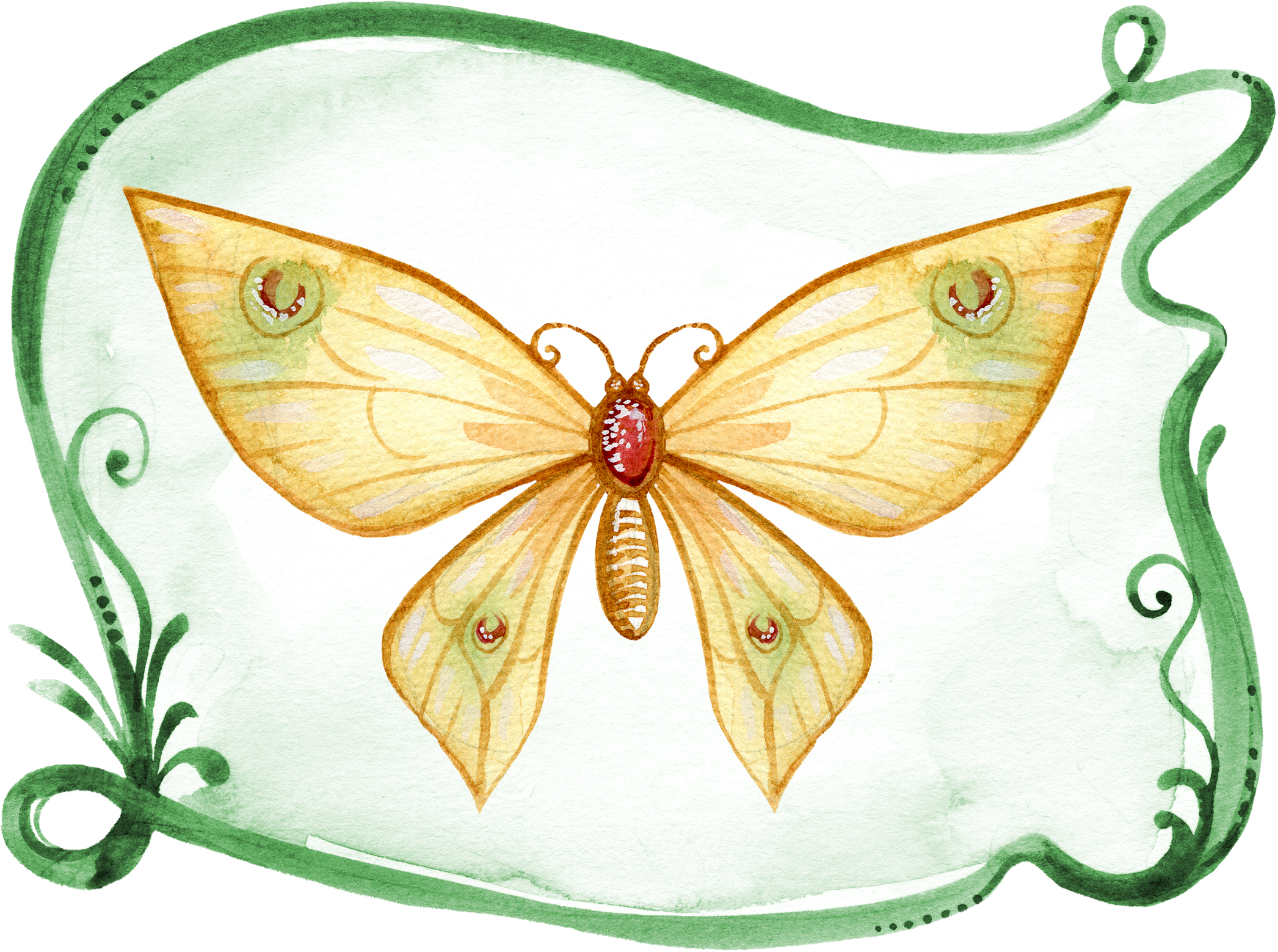Butterfly Painting Watercolor 1485634 - Gambar Hewan Menggunakan Cat Air Transparent PNG - 2093x1559 - Free Download on - Cat Transparent PNG Free Download