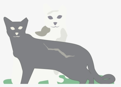 0218 Icehouse Discoverygreen Cat Ej3epv - Black Cat, HD Png Download - Cat Transparent PNG Free Download
