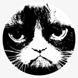The Revenge Of Folk Politics - Grumpy Cat Transparent PNG - 460x460 - Free Download on - Cat Transparent PNG Free Download