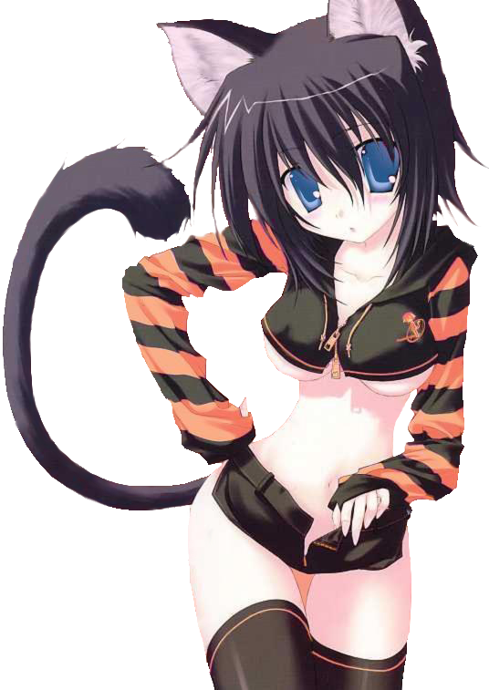 Anime Neko Cat Sexy Photo - Anime Cat Girl Transparent PNG - 536x757 - Free Download on - Cat Transparent PNG Free Download