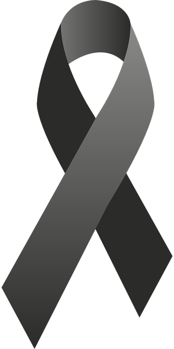 Lazo Negro Luto Png - Black Ribbon Vector Png Transparent PNG - 360x720 - Free Download on - Cat Transparent PNG Free Download