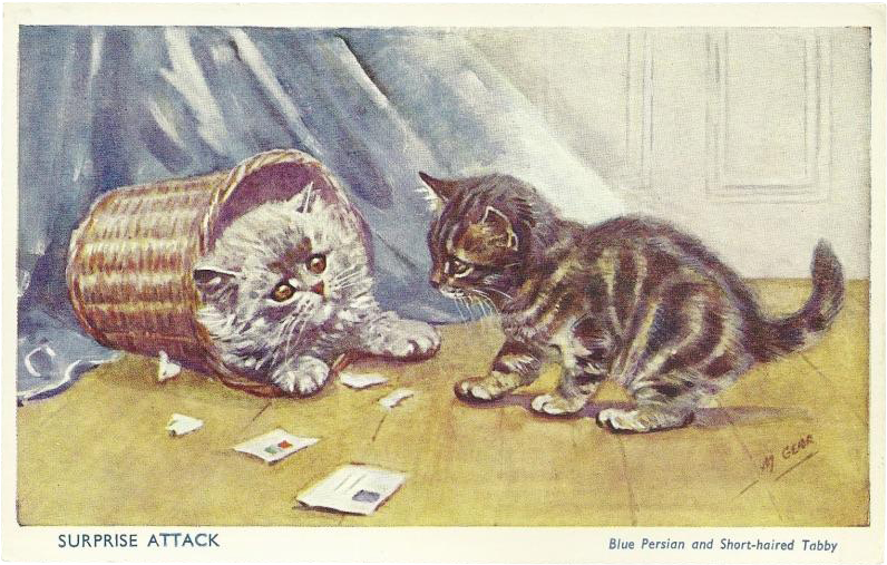 Mabel Gear Vintage Postcard Of Blue Persian And Tabby - Tabby Cat Transparent PNG - 795x795 - Free Download on - Cat Transparent PNG Free Download