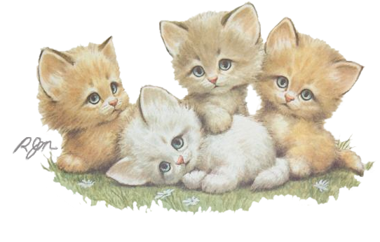 3 Petis Chats Mignons Dedinelle - Good Afternoon With Cat Transparent PNG - 561x384 - Free Download on - Cat Transparent PNG Free Download
