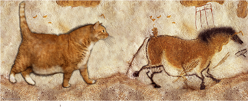 Fat Cat And Fat Horse - Cafepress Lascaux Horse Painting Framed Tile Transparent PNG - 800x587 - Free Download on - Cat Transparent PNG Free Download