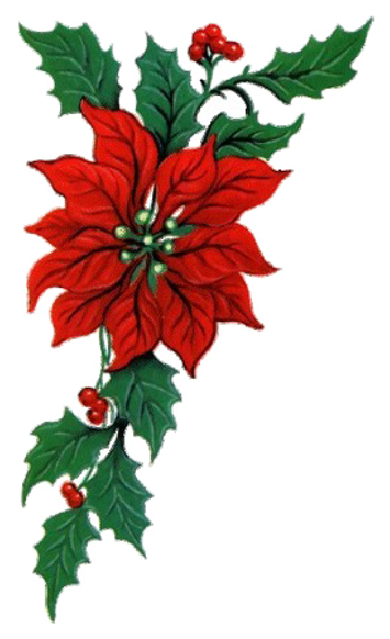 Set Of 4 Christmas Cutlery Holders Sock Santa Dinner - Free Poinsettia Clip Art - Free Transparent PNG Clipart Images Download. - Dinner Transparent PNG Free Download
