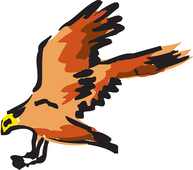 Orange, Bird, Flying, Wings, Art, Animal, Feathers - Red Falcon Vector Fly - Free Transparent PNG Clipart Images Download. - Falcon Transparent PNG Free Download