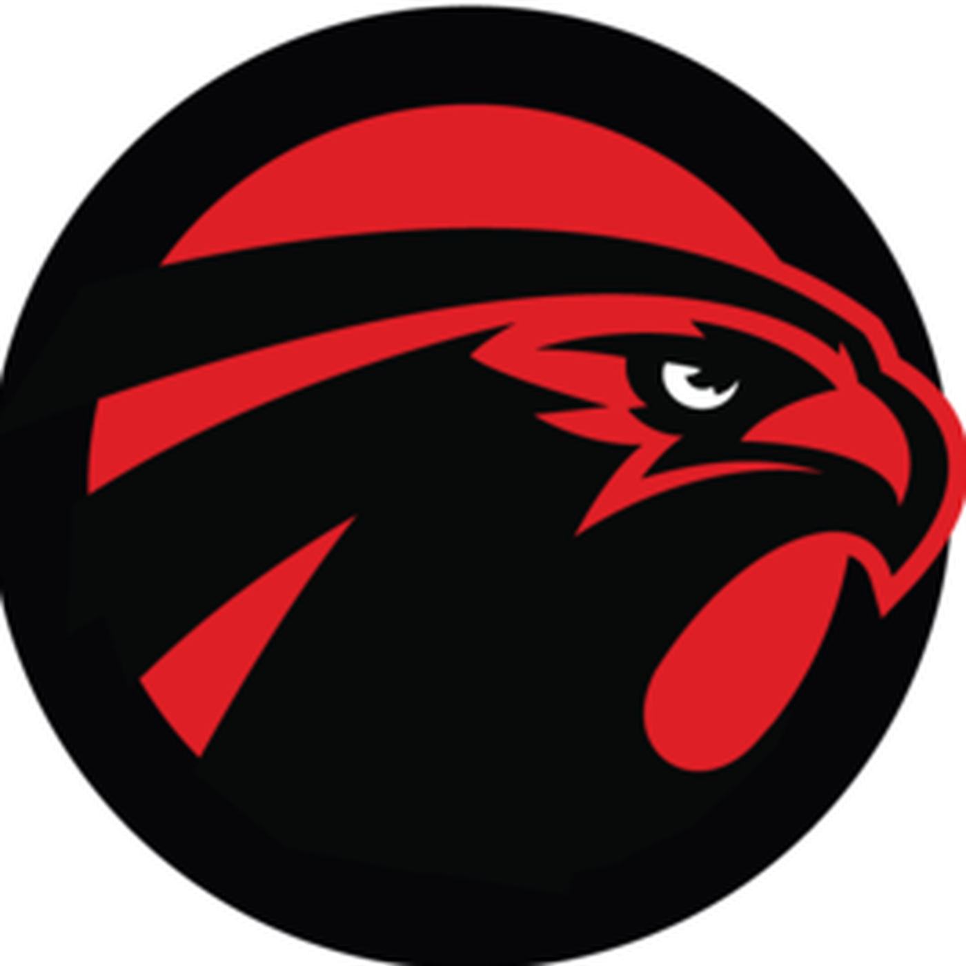 Atlanta Falcons Facts - Sb Nation Falcoholic Transparent PNG - 1400x1400 - Free Download on - Falcon Transparent PNG Free Download