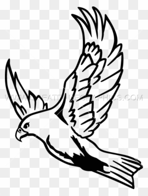 Drawn Falcon Flying - Flying Falcon Clipart - Free Transparent PNG Clipart Images Download. - Falcon Transparent PNG Free Download