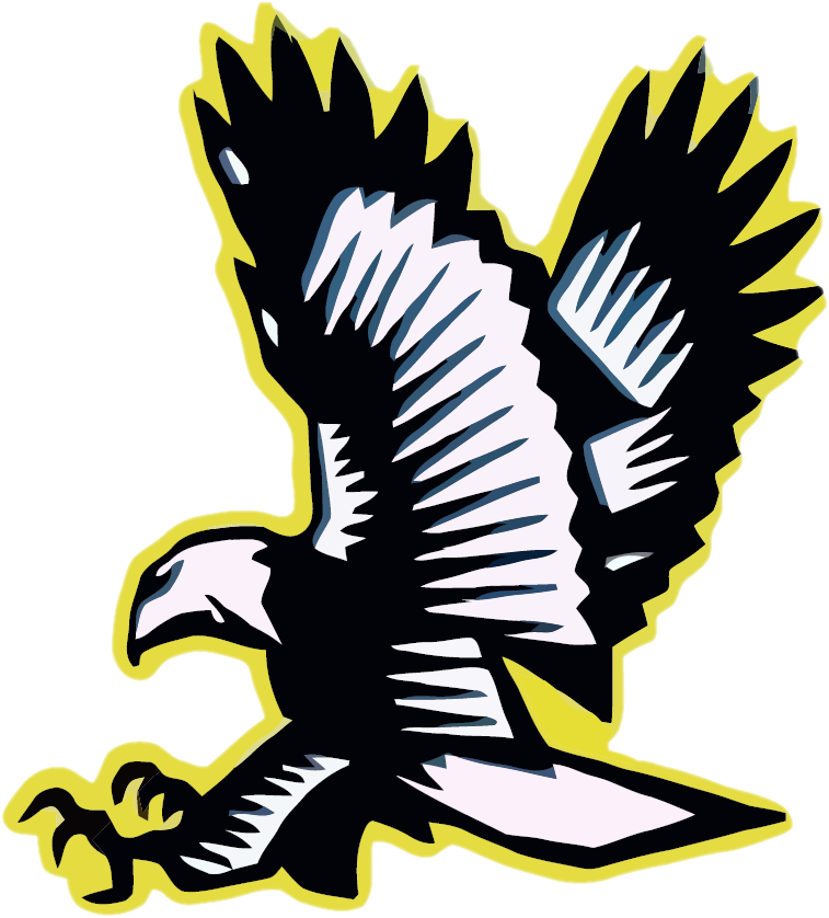 Lakeville Falcons - Lakeville Falcons - Free Transparent PNG Clipart Images Download. - Falcon Transparent PNG Free Download