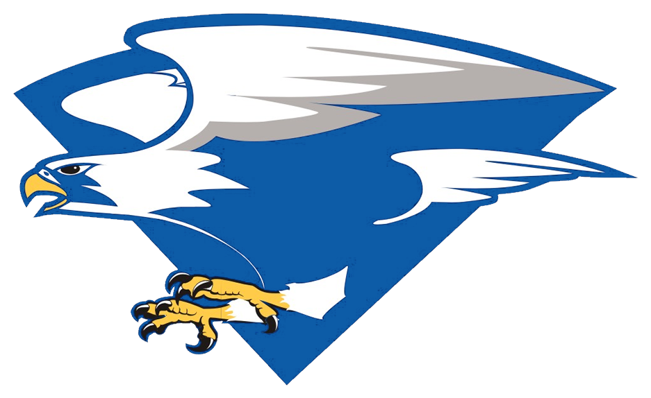 North Forney Falcons - Air Force Falcons Football - Free Transparent PNG Clipart Images Download. - Falcon Transparent PNG Free Download